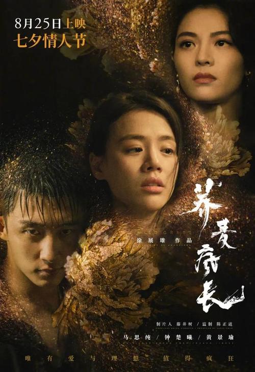 俄罗斯公民外国护照作假